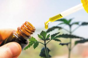 Is Legality Issues of CBD Slowly Decreasing?
