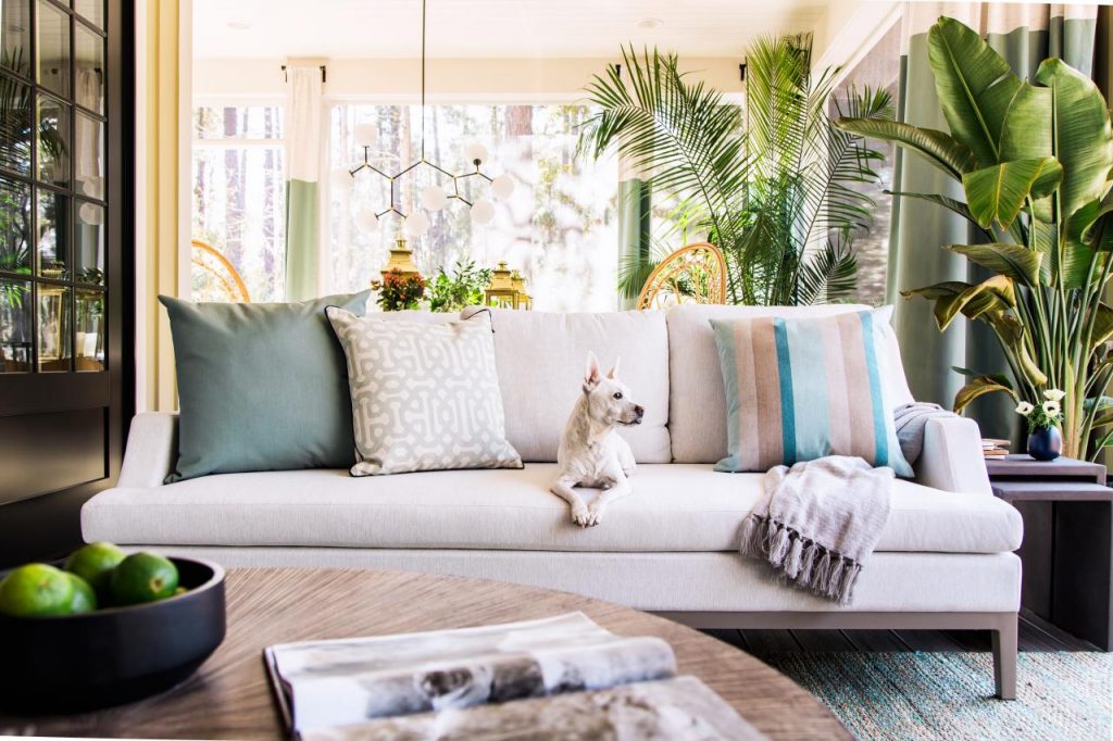 The Best Way to Maintain and Clean and Clean a Fabric Sofa