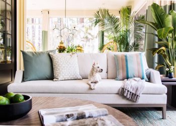 The Best Way to Maintain and Clean and Clean a Fabric Sofa