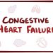 An overview about cognitive heart failure