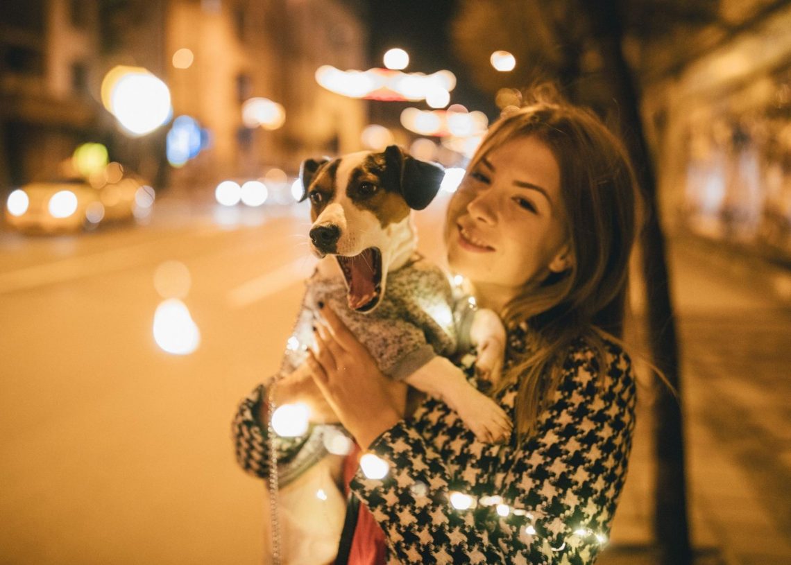 How to Stay Safe While Walking Your Dog at Night