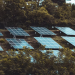 The Future of Renewable Energy: What You Should Know About Community Solar