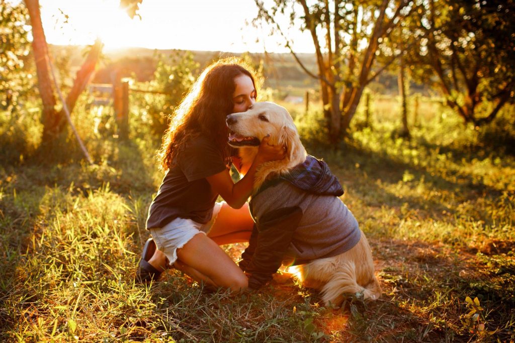 Dog Sweaters & Hoodies: A Fashion Statement for Dogs & Their Owners