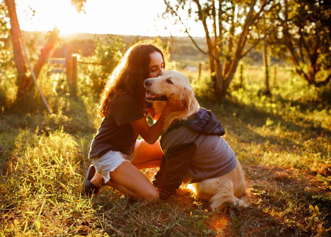 Dog Sweaters & Hoodies: A Fashion Statement for Dogs & Their Owners