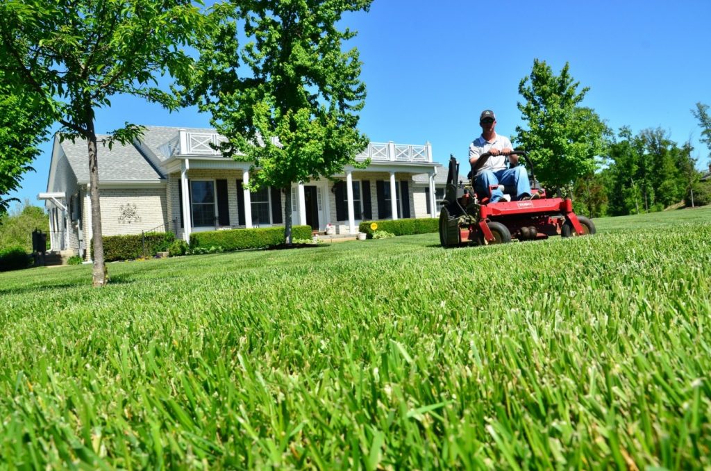 How Much Do Lawn Care Companies Charge?