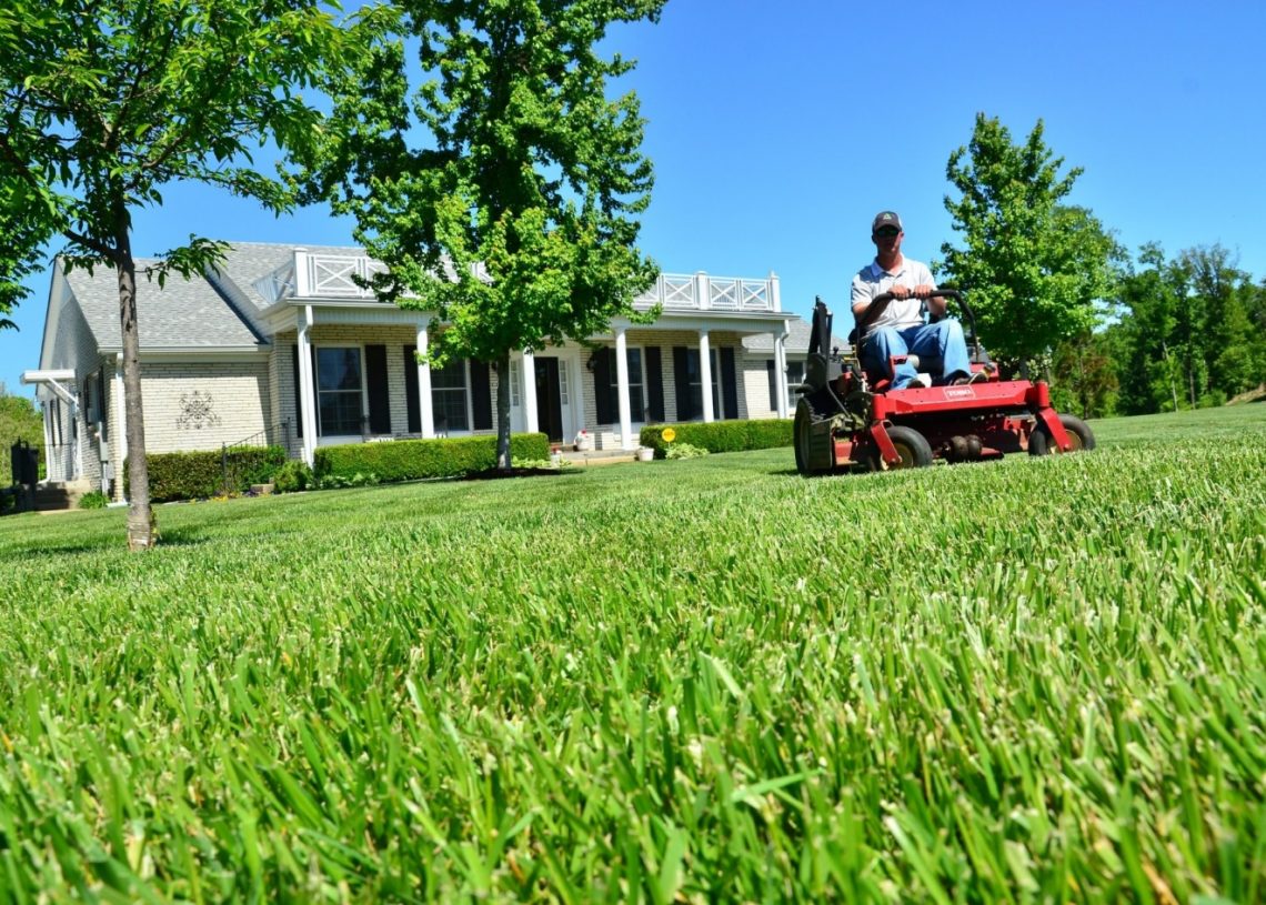 How Much Do Lawn Care Companies Charge?