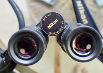 The Importance of Investing Wisely in Thermal Binoculars